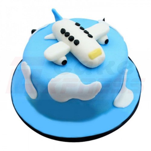 Cute Airplane Fondant Cake