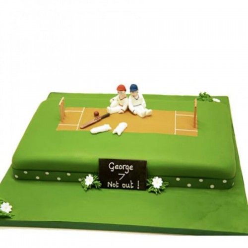 Heavenly Delights Cricket Fondant Cake